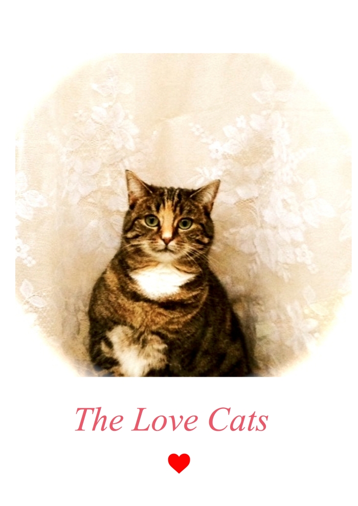 Poster A3_The Love Cats