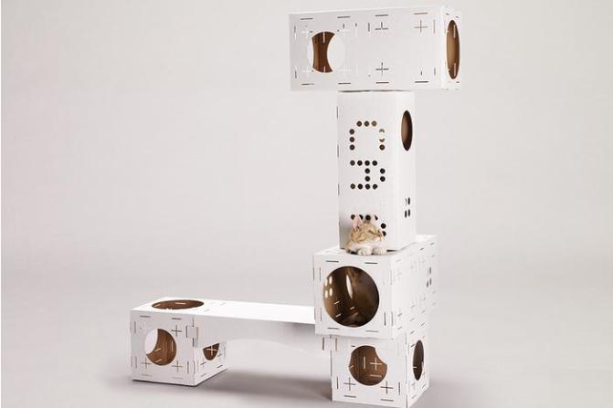 Poopy-Cat-Blocks-Tower